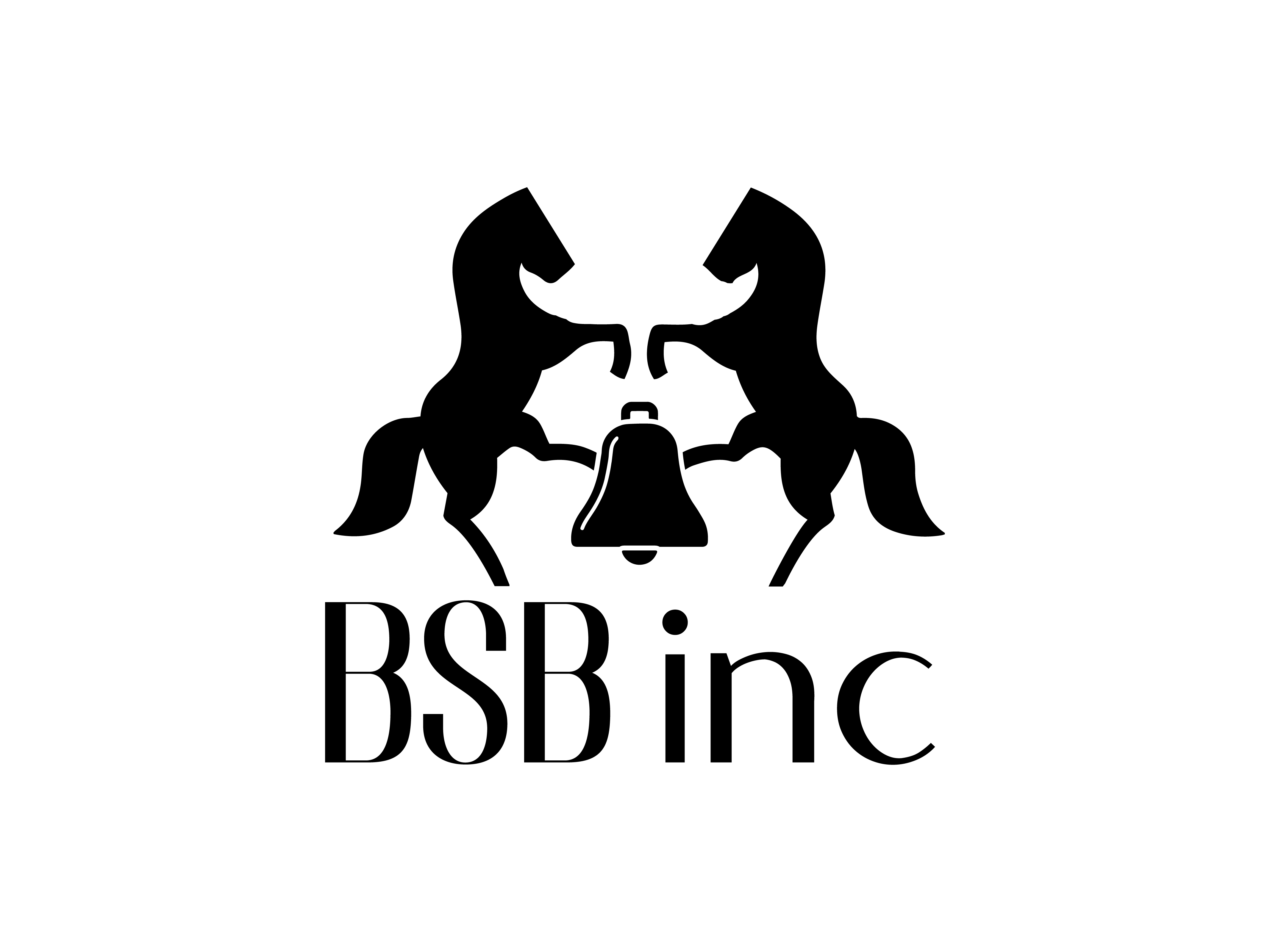 BSB Inc.